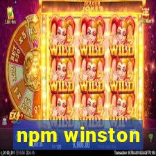 npm winston